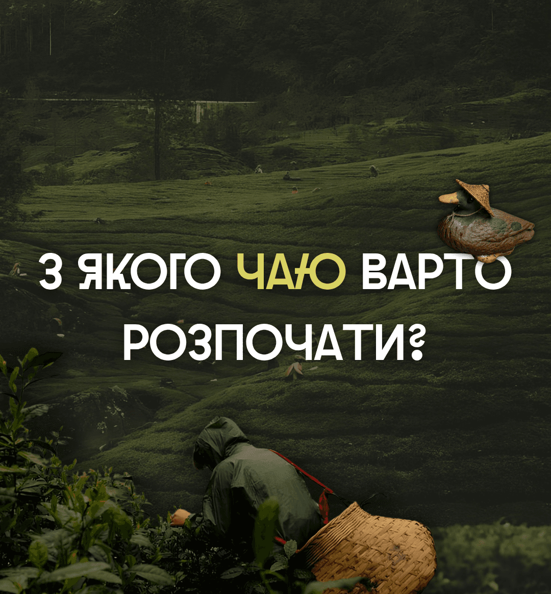 З якого чаю варто розпочати